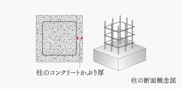 柱の断面概念図