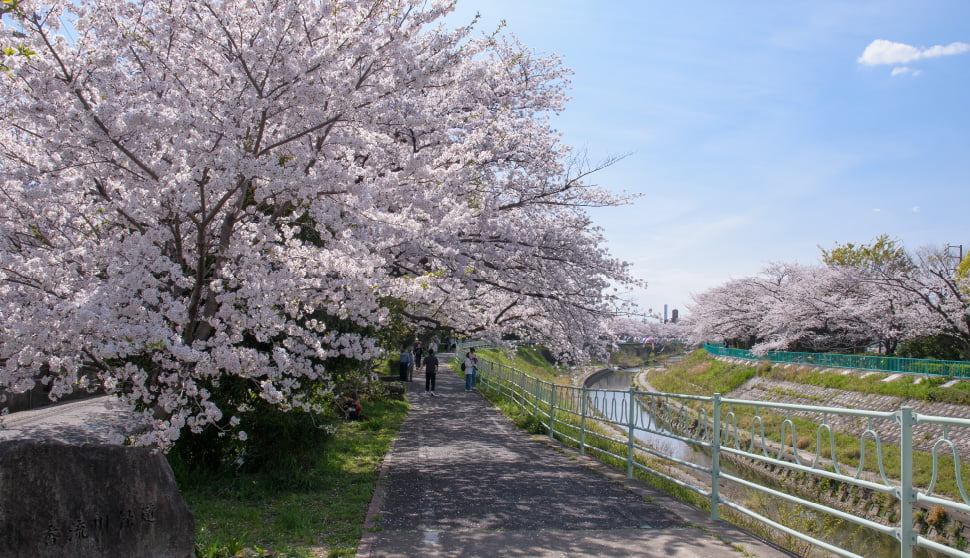 香流川